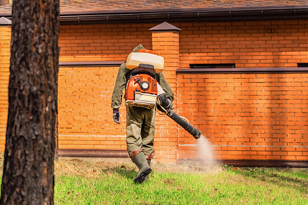 Trusted Rodent Control service in Wayne Heights, PA - Nex Pest Control